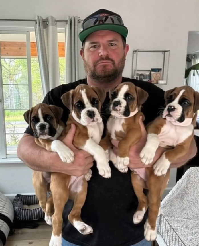 The Puppy With the Collar That Changed Everything